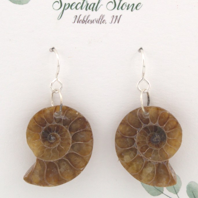 Ammonite earrings