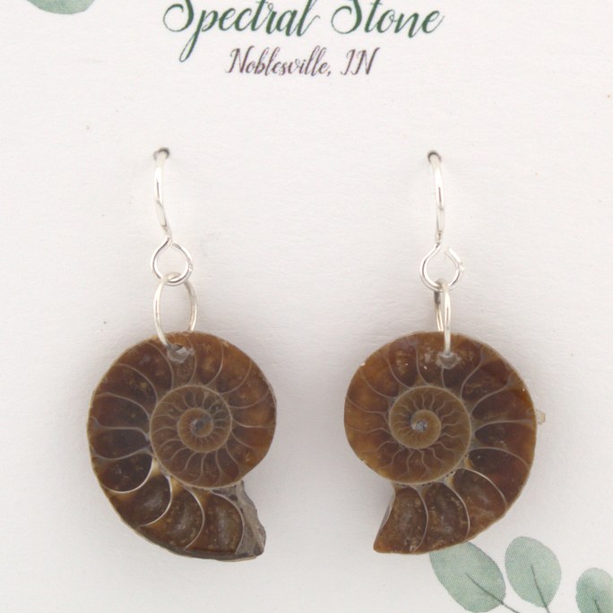 Ammonite earrings