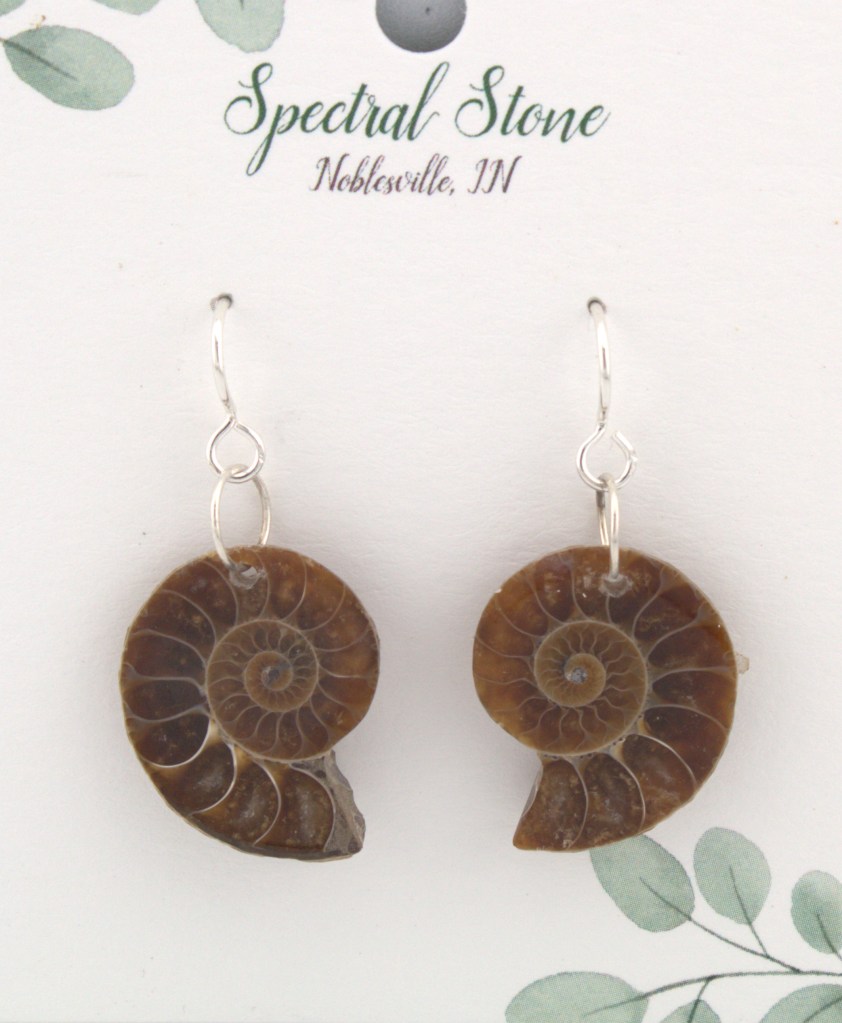 Ammonite earrings
