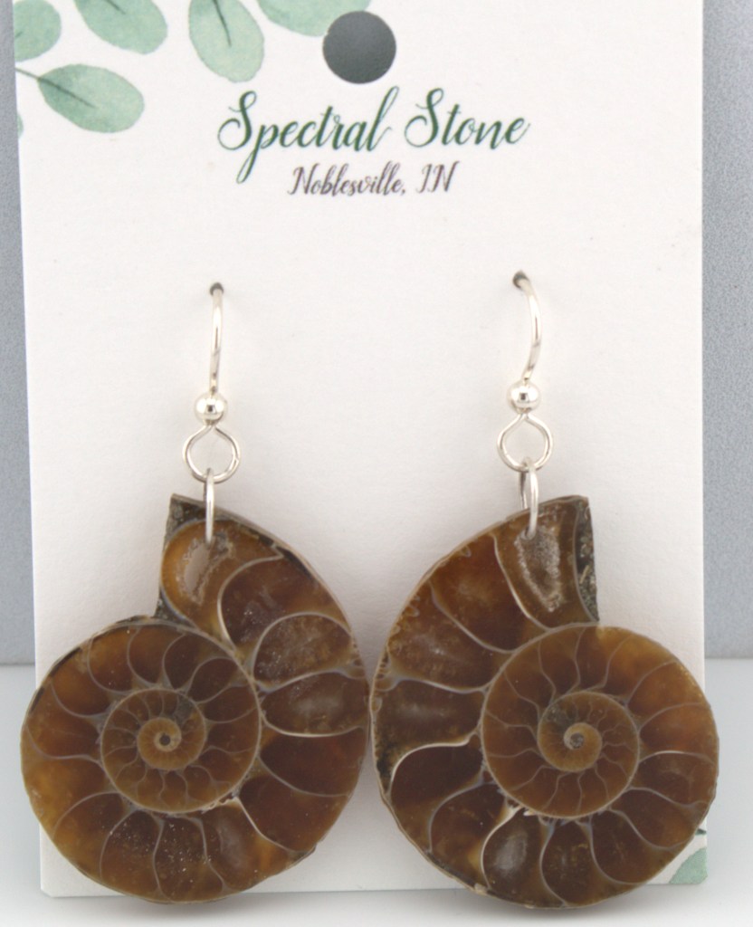ammonite